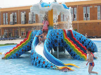 Swimming Pool Octopus Slide Outdoor Interactive Fiberglass Slides For Kids and Adult  Play Equipment